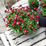 Kır Evi Aqualine
