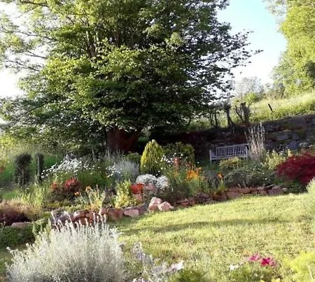 Aqualine 아이웨일