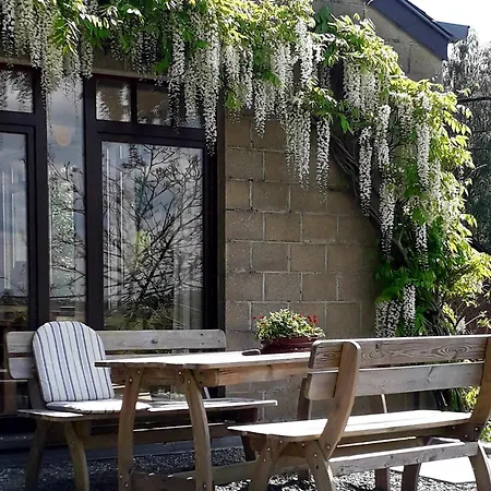 Aqualine 아이웨일