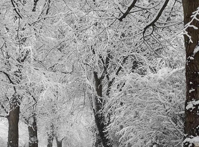 Aqualine Casa de Campo